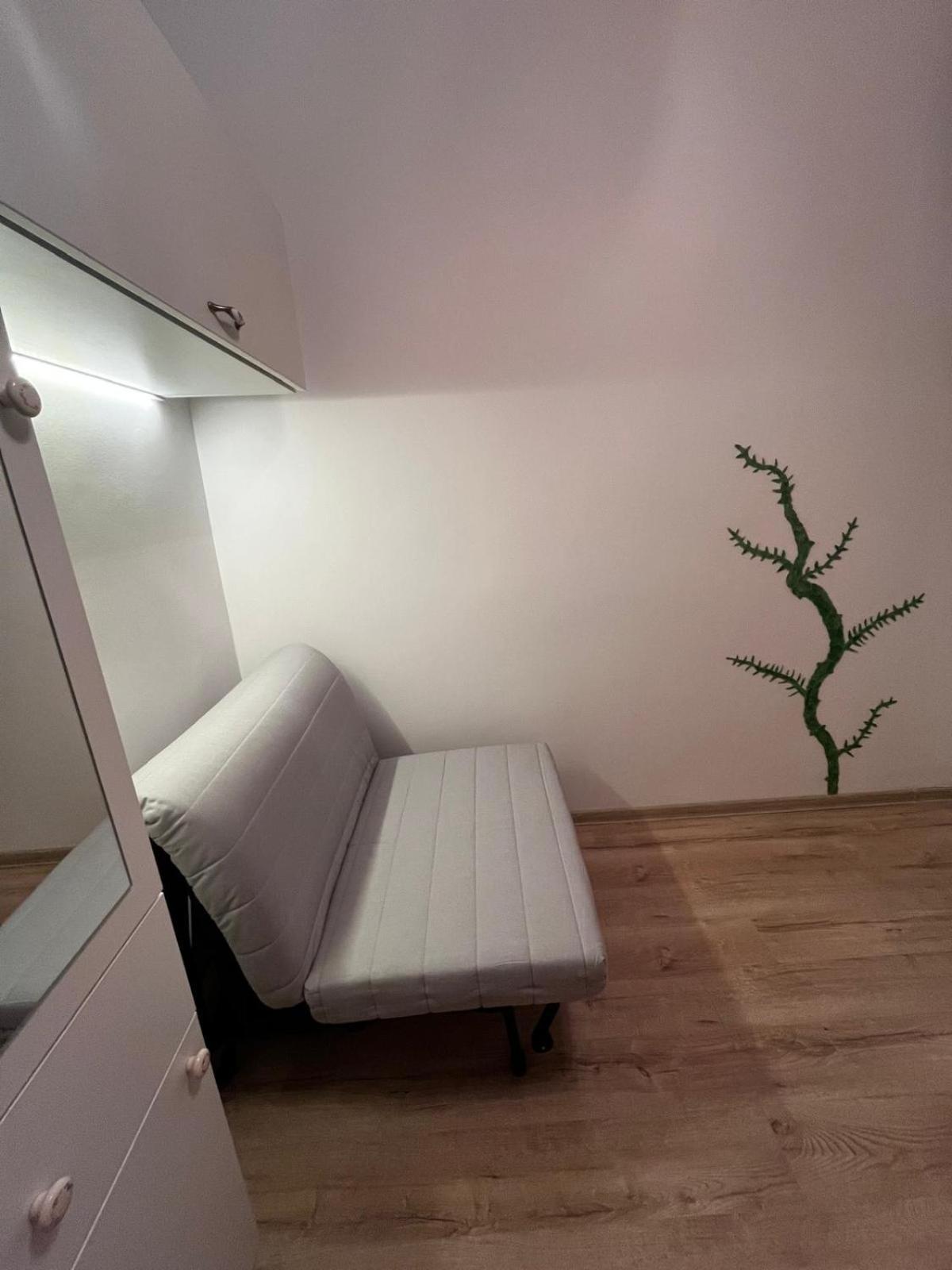 Mimosa Studio Cluj Napoca Bagian luar foto