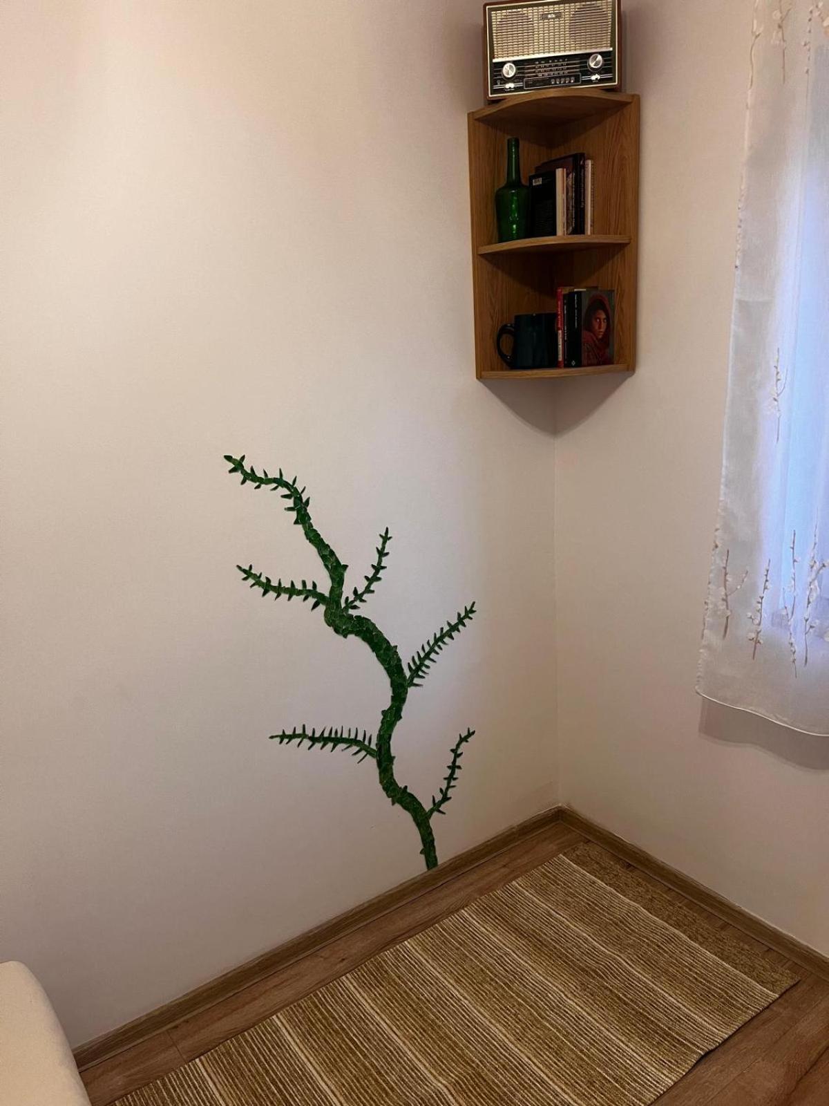 Mimosa Studio Cluj Napoca Bagian luar foto