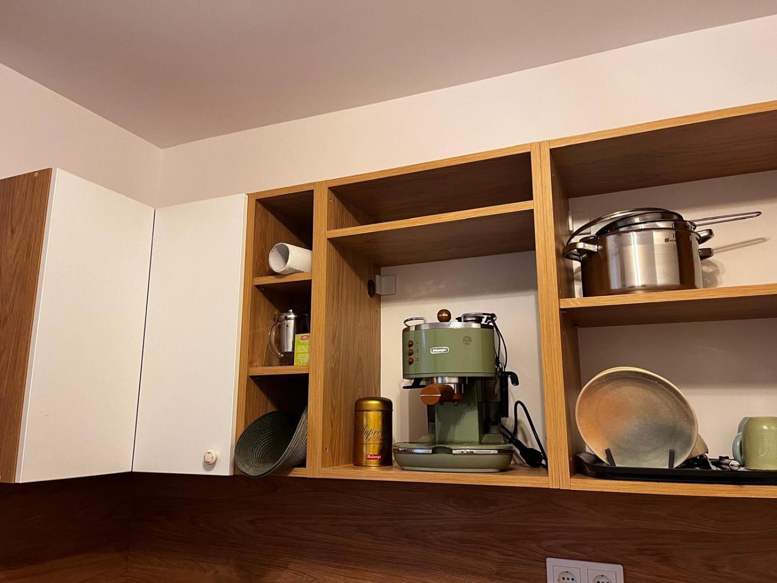 Mimosa Studio Cluj Napoca Bagian luar foto