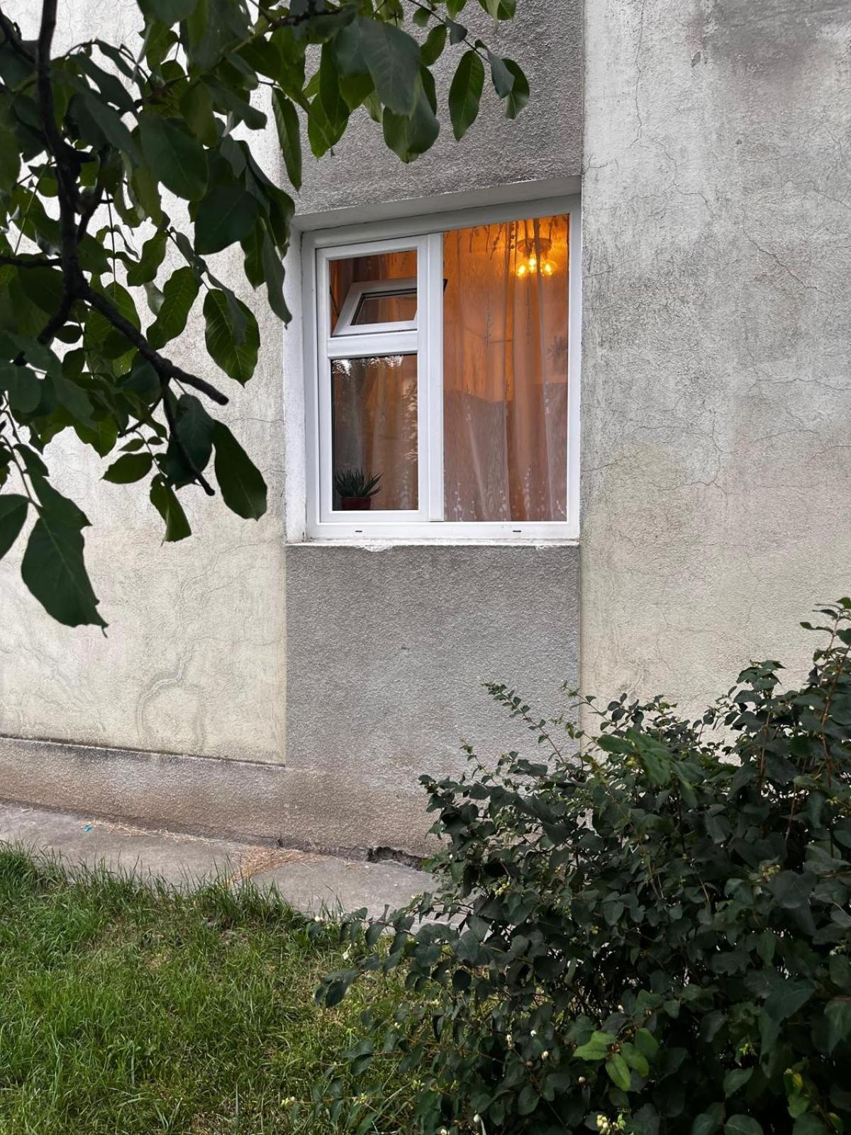 Mimosa Studio Cluj Napoca Bagian luar foto
